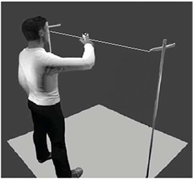 Toward an Emotional Individual Motor Signature